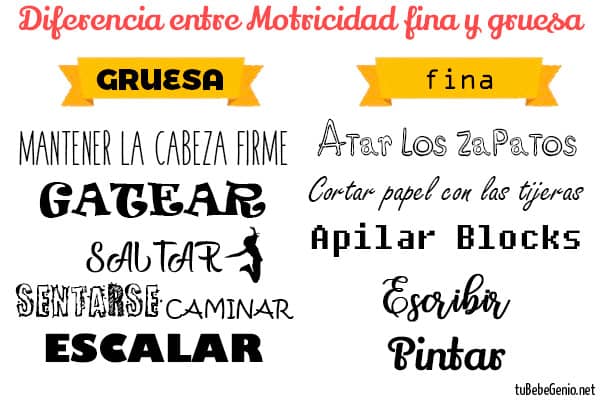 Cuadro de diferencias entre la motricidad fina y la motricidad gruesa.